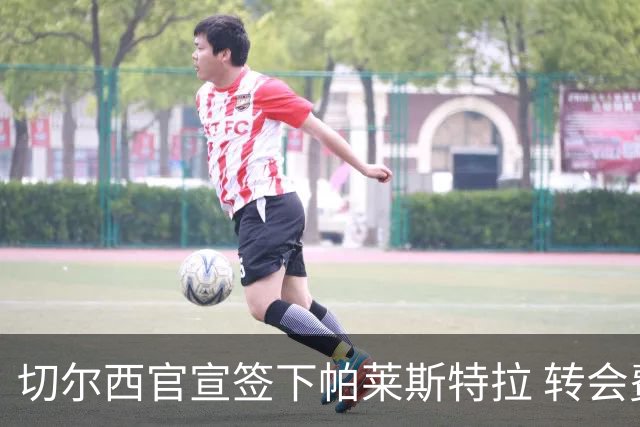 切尔西官宣签下帕莱斯特拉 转会费超5500万欧签约7年