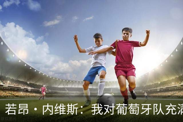 若昂·内维斯：我对葡萄牙队充满信心，我们会改进不足